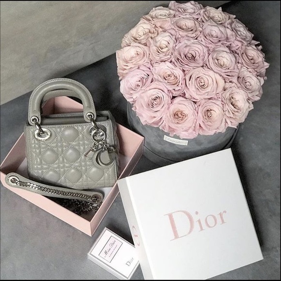 Meet your Posher, Nalia - Picture 5 of 6